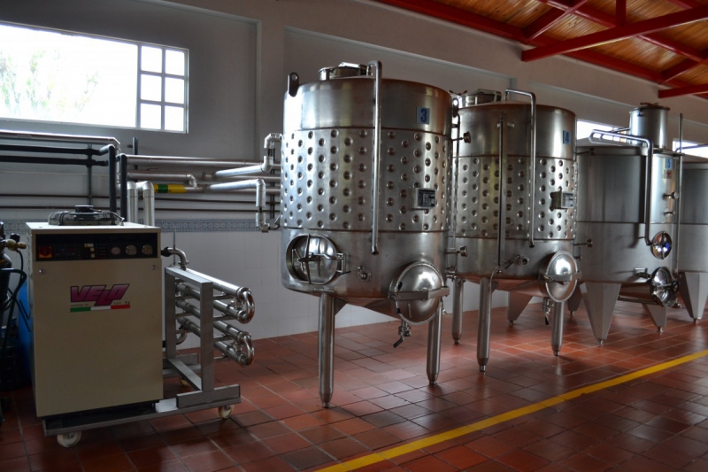 cave-BRENON-min_wine_production_cantine_winery_drink_alcohol_vine_beverage-902036